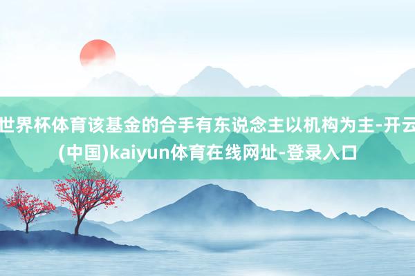 世界杯体育该基金的合手有东说念主以机构为主-开云(中国)kaiyun体育在线网址-登录入口