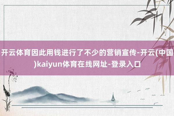 开云体育因此用钱进行了不少的营销宣传-开云(中国)kaiyun体育在线网址-登录入口