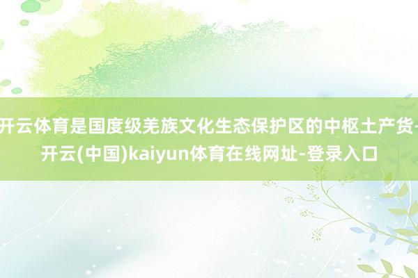 开云体育是国度级羌族文化生态保护区的中枢土产货-开云(中国)kaiyun体育在线网址-登录入口