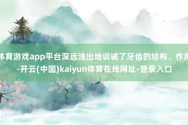 体育游戏app平台深远浅出地训诫了牙齿的结构、作用-开云(中国)kaiyun体育在线网址-登录入口